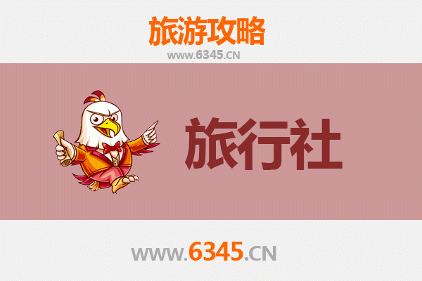 赤峰林西本地旅行社推荐：探索草原与文化的完美向导